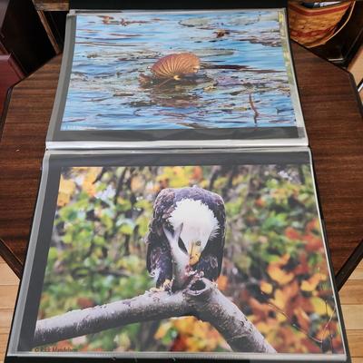 Profolio of Photographs 12x18 Suitable for Framing at least 40 in Binder