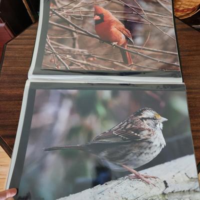 Profolio of Photographs 12x18 Suitable for Framing at least 40 in Binder
