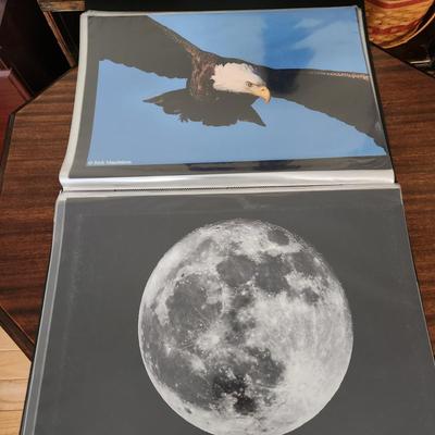 Profolio of Photographs 12x18 Suitable for Framing at least 40 in Binder