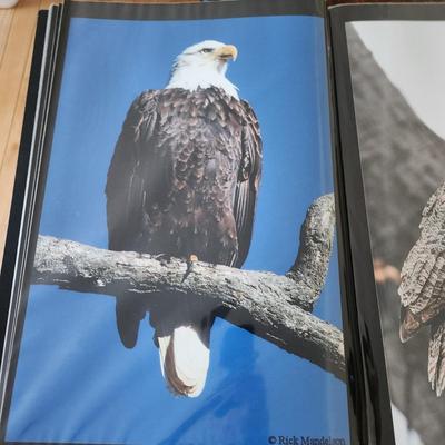 Profolio of Photographs 12x18 Suitable for Framing at least 40 in Binder