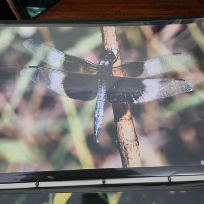 Profolio of Photographs 12x18 Suitable for Framing at least 40 in Binder