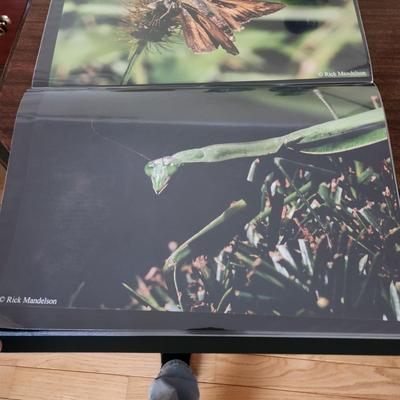 Profolio of Photographs 12x18 Suitable for Framing at least 40 in Binder