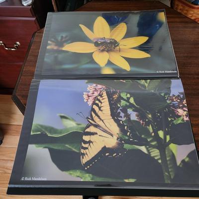 Profolio of Photographs 12x18 Suitable for Framing at least 40 in Binder