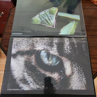 Profolio of Photographs 12x18 Suitable for Framing at least 40 in Binder