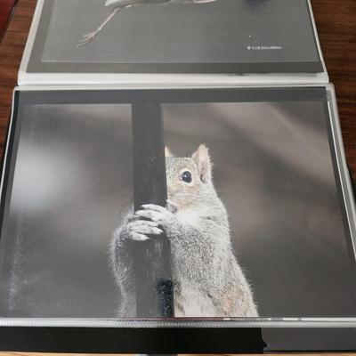 Profolio of Photographs 12x18 Suitable for Framing at least 40 in Binder