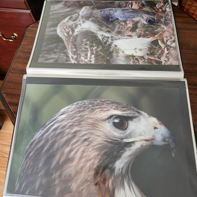 Profolio of Photographs 12x18 Suitable for Framing at least 40 in Binder