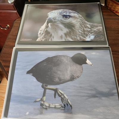 Profolio of Photographs 12x18 Suitable for Framing at least 40 in Binder