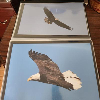 Profolio of Photographs 12x18 Suitable for Framing at least 40 in Binder