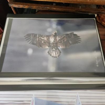 Profolio of Photographs 12x18 Suitable for Framing at least 40 in Binder