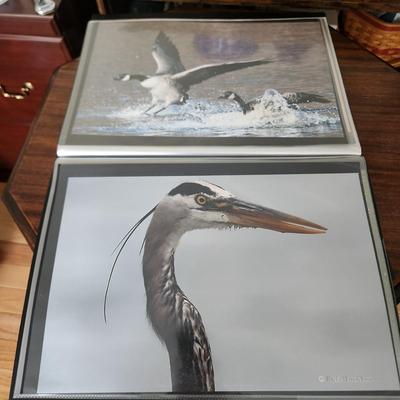 Profolio of Photographs 12x18 Suitable for Framing at least 40 in Binder