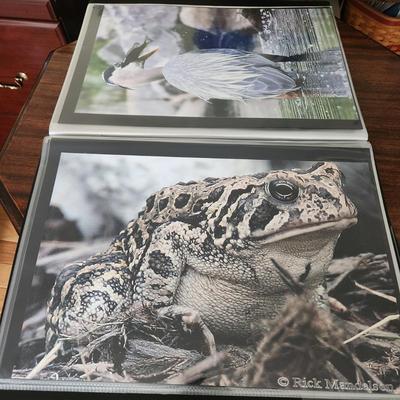 Profolio of Photographs 12x18 Suitable for Framing at least 40 in Binder