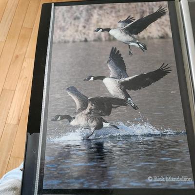 Profolio of Photographs 12x18 Suitable for Framing at least 40 in Binder