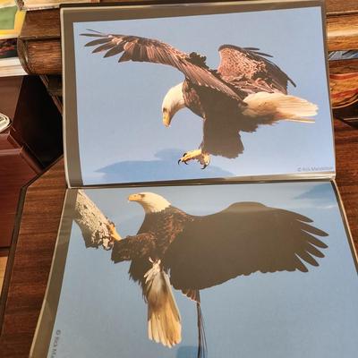 Profolio of Photographs 12x18 Suitable for Framing at least 40 in Binder