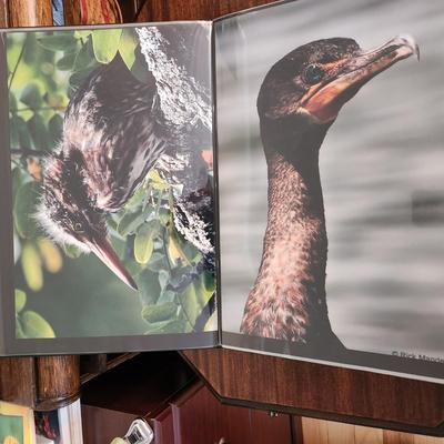 Profolio of Photographs 12x18 Suitable for Framing at least 40 in Binder