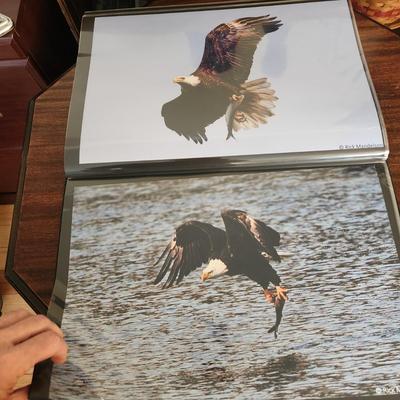 Profolio of Photographs 12x18 Suitable for Framing at least 40 in Binder