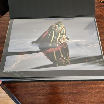 Profolio of Photographs 12x18 Suitable for Framing at least 40 in Binder