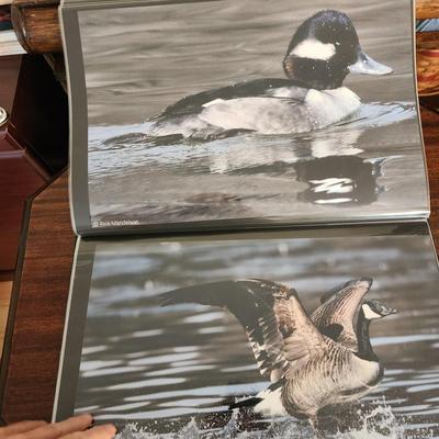 Profolio of Photographs 12x18 Suitable for Framing at least 40 in Binder