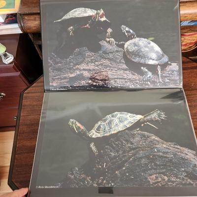 Profolio of Photographs 12x18 Suitable for Framing at least 40 in Binder