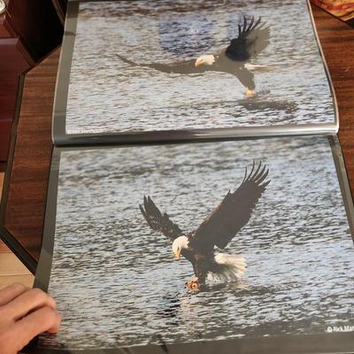 Profolio of Photographs 12x18 Suitable for Framing at least 40 in Binder