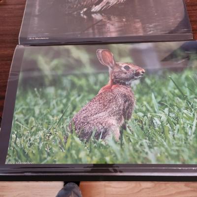 Profolio of Photographs 12x18 Suitable for Framing at least 40 in Binder