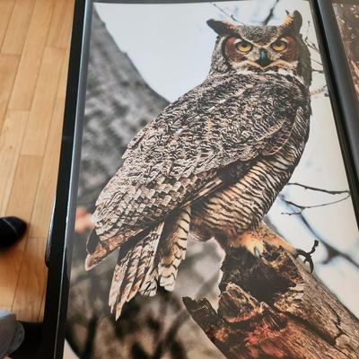 Profolio of Photographs 12x18 Suitable for Framing at least 40 in Binder