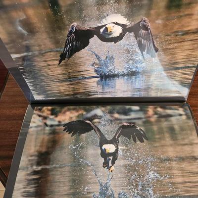 Profolio of Photographs 12x18 Suitable for Framing at least 40 in Binder