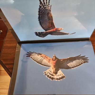 Profolio of Photographs 12x18 Suitable for Framing at least 40 in Binder