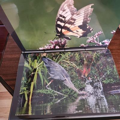 Profolio of Photographs 12x18 Suitable for Framing at least 40 in Binder