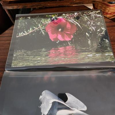 Profolio of Photographs 12x18 Suitable for Framing at least 40 in Binder