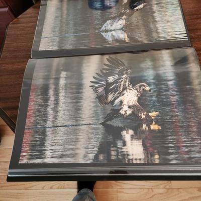 Profolio of Photographs 12x18 Suitable for Framing at least 40 in Binder