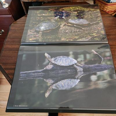 Profolio of Photographs 12x18 Suitable for Framing at least 40 in Binder