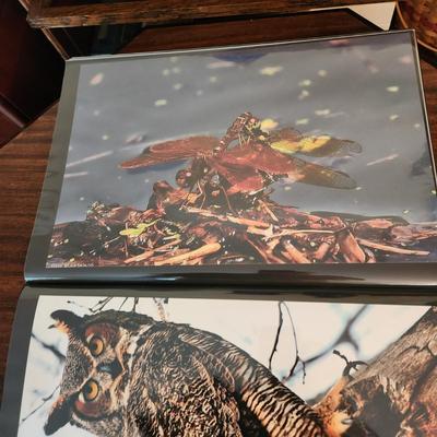 Profolio of Photographs 12x18 Suitable for Framing at least 40 in Binder