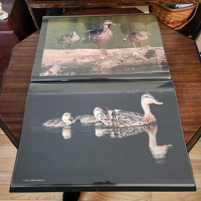 Profolio of Photographs 12x18 Suitable for Framing at least 40 in Binder