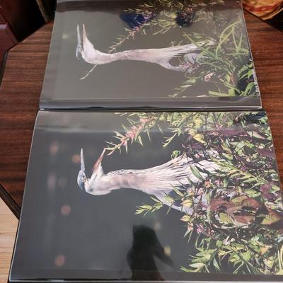 Profolio of Photographs 12x18 Suitable for Framing at least 40 in Binder