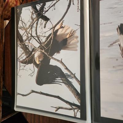 Profolio of Photographs 12x18 Suitable for Framing at least 40 in Binder