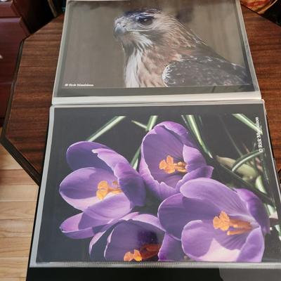 Profolio of Photographs 12x18 Suitable for Framing at least 40 in Binder