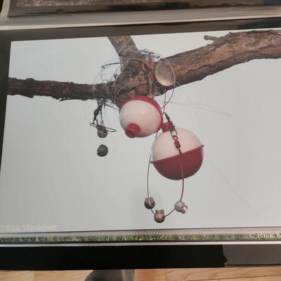 Profolio of Photographs 12x18 Suitable for Framing at least 40 in Binder