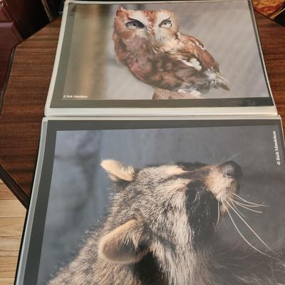 Profolio of Photographs 12x18 Suitable for Framing at least 40 in Binder