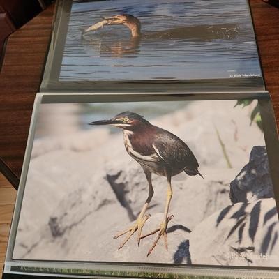Profolio of Photographs 12x18 Suitable for Framing at least 40 in Binder