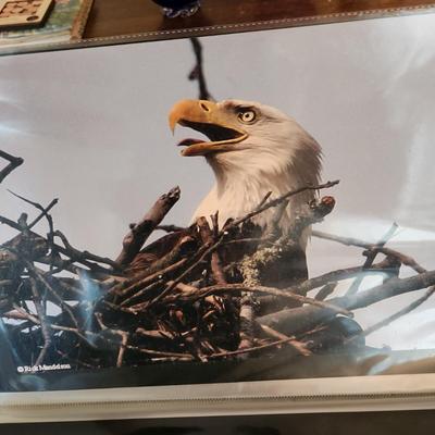 Profolio of Photographs 12x18 Suitable for Framing at least 40 in Binder