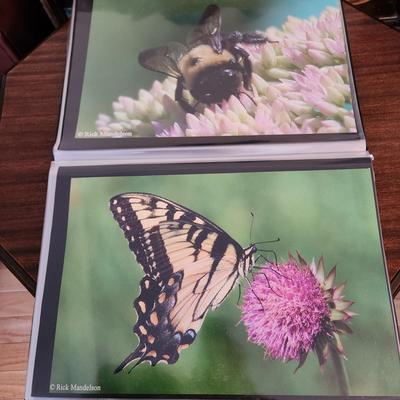 Profolio of Photographs 12x18 Suitable for Framing at least 40 in Binder