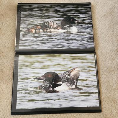 Profolio of Photographs 12x18 Suitable for Framing at least 40 in Binder