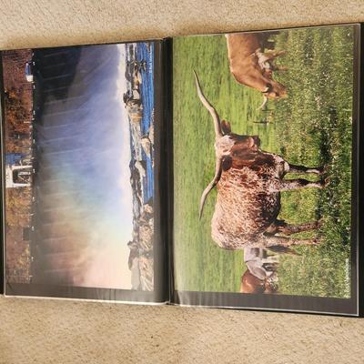 Profolio of Photographs 12x18 Suitable for Framing at least 40 in Binder