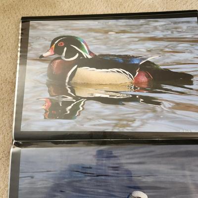 Profolio of Photographs 12x18 Suitable for Framing at least 40 in Binder