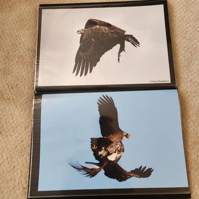 Profolio of Photographs 12x18 Suitable for Framing at least 40 in Binder