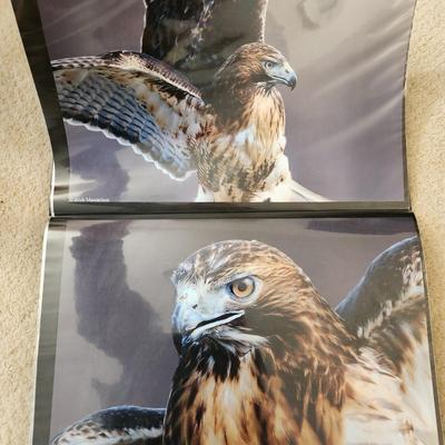 Profolio of Photographs 12x18 Suitable for Framing at least 40 in Binder