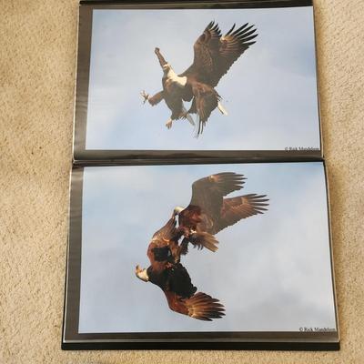 Profolio of Photographs 12x18 Suitable for Framing at least 40 in Binder