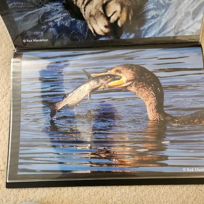 Profolio of Photographs 12x18 Suitable for Framing at least 40 in Binder