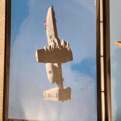 Profolio of Photographs 12x18 Suitable for Framing at least 40 in Binder