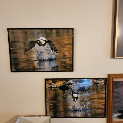 Lot of 10 Framed Photographs Wildlife Eagles , Owls , Cars